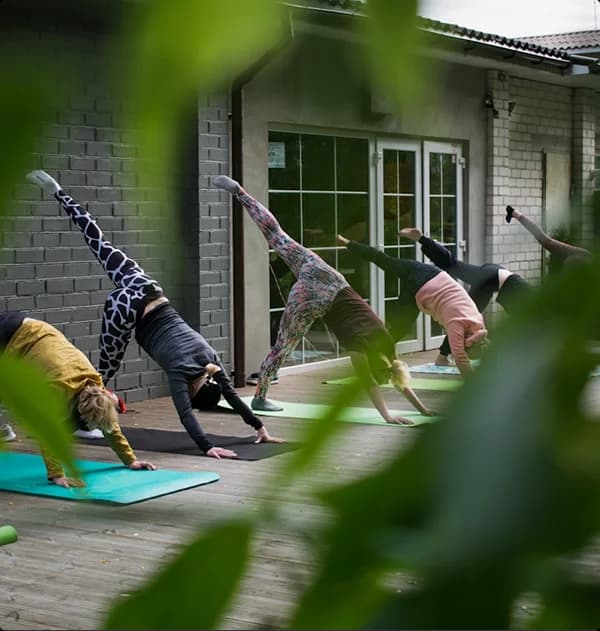 Wellness activity